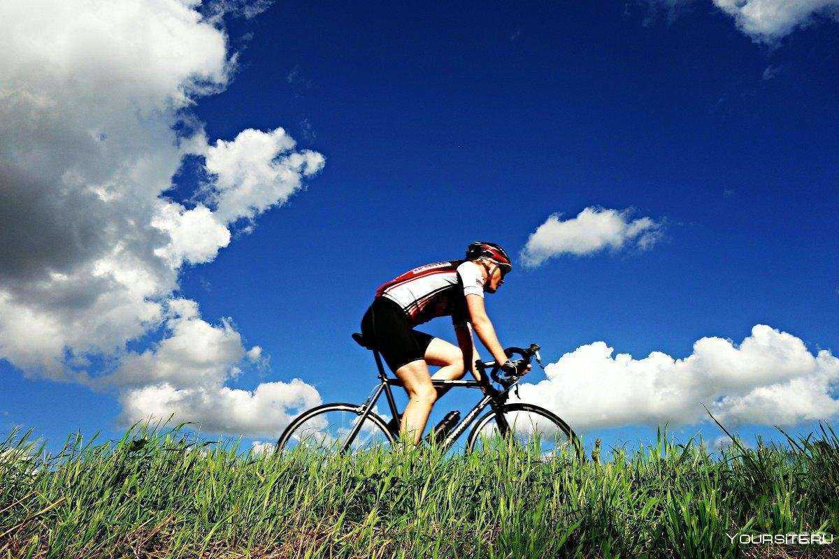 Отзывы на компанию Самаравело в г. Самара c фото