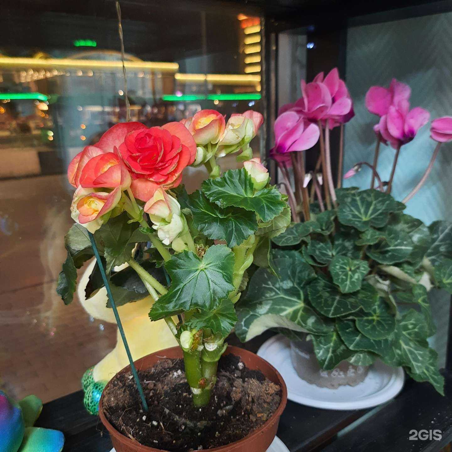 Отзывы на компанию Catalina в Челябинске c фото