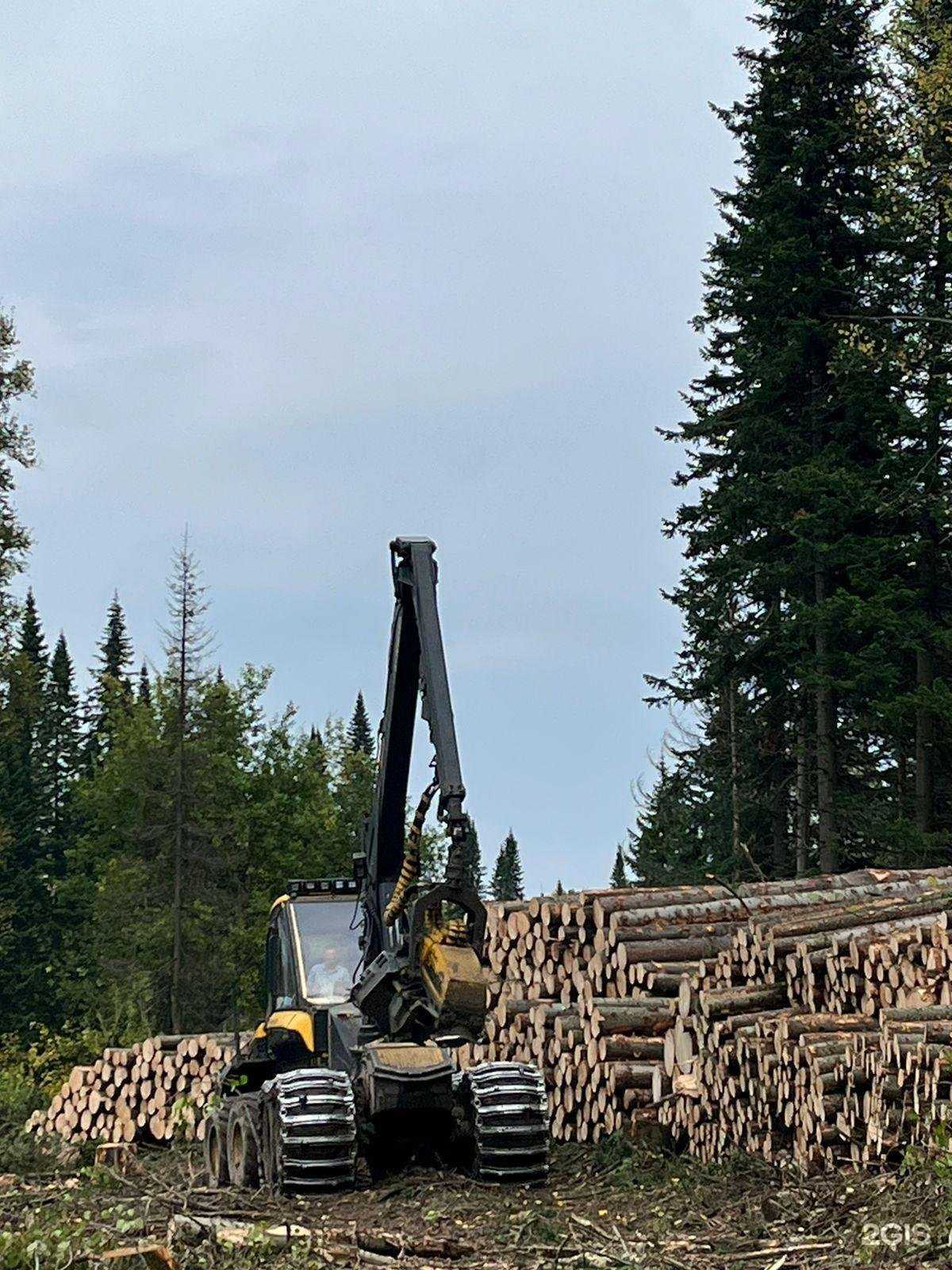 Отзывы на компанию СтройДом-лес в г. Кемерово c фото