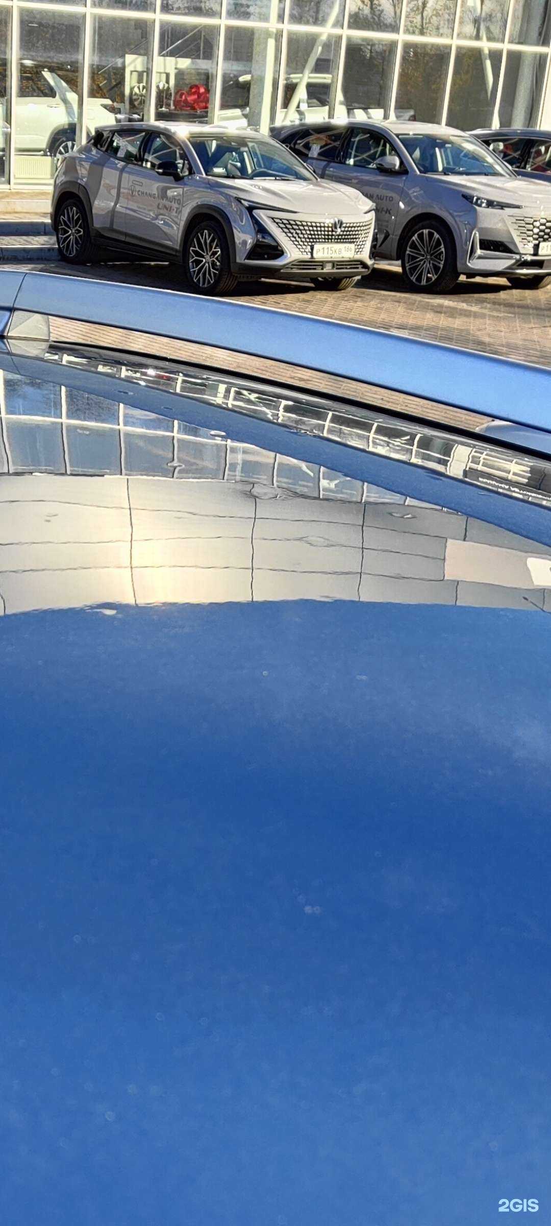 Отзывы на компанию Кia Сургут в Сургуте c фото - фотография 2 из 2