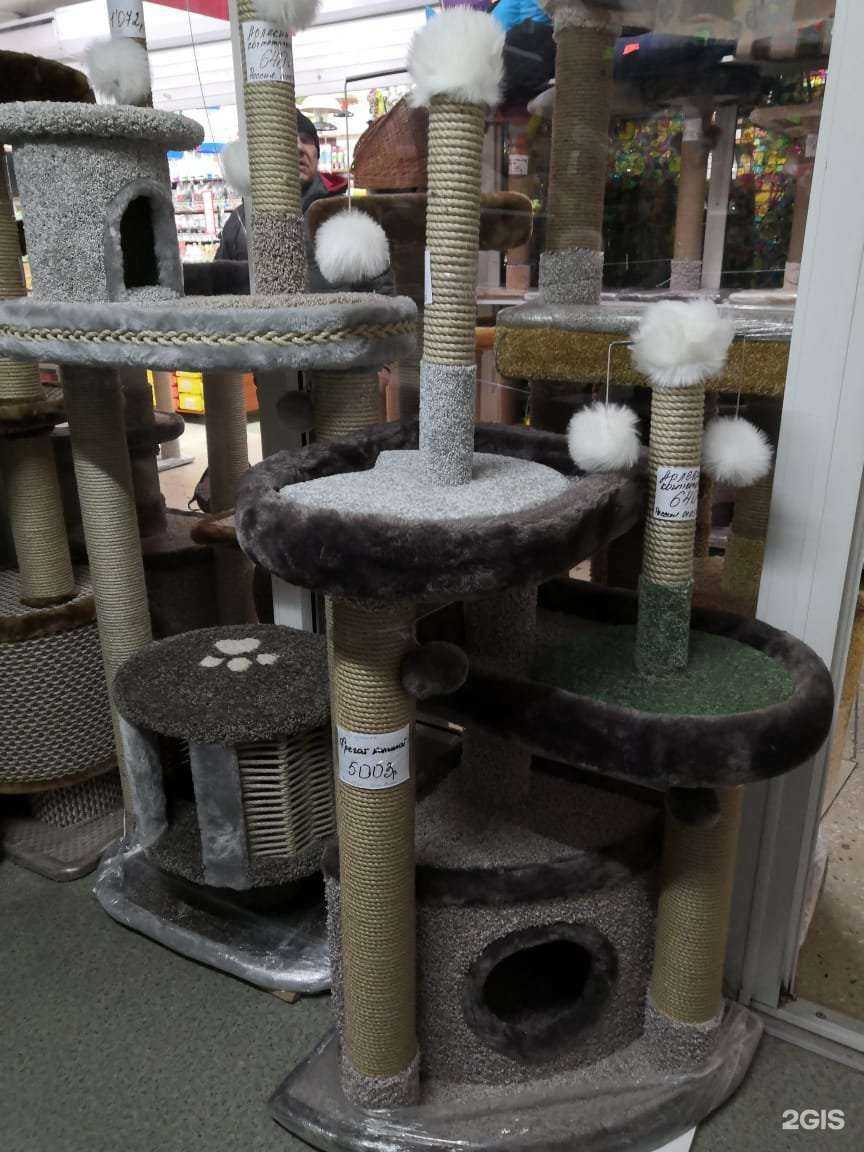 Отзывы на компанию Кошки-мышки в Оренбурге c фото