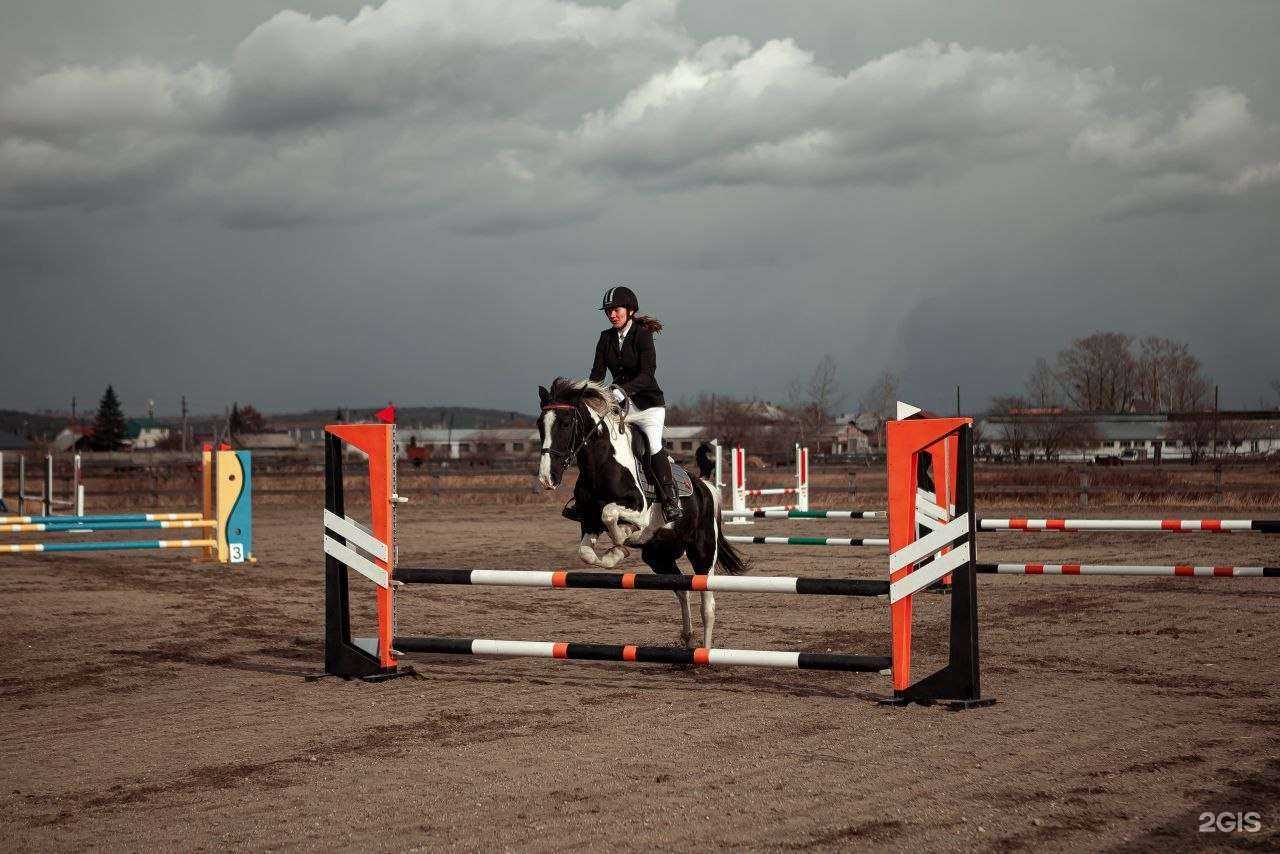 Отзывы на компанию Пинто в г. Иркутск c фото