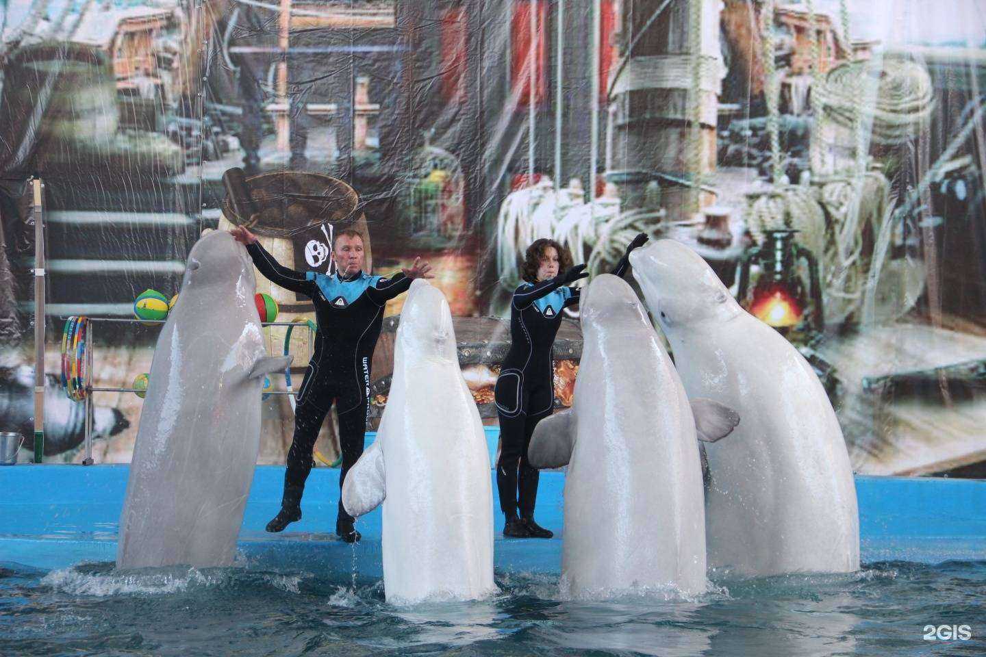 Отзывы на компанию Морская Звезда в Сочи c фото