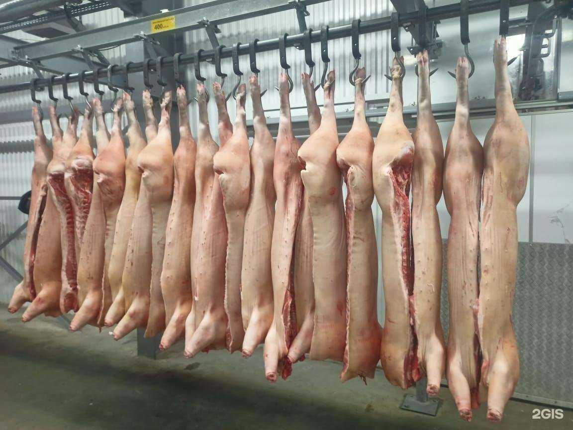 Отзывы на компанию ОРЕЛМЯСО в г. Орёл c фото