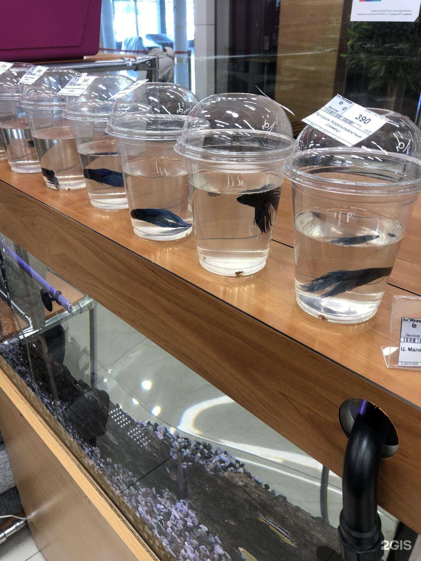 Отзывы на компанию Ле`Муррр в Санкт-Петербурге c фото