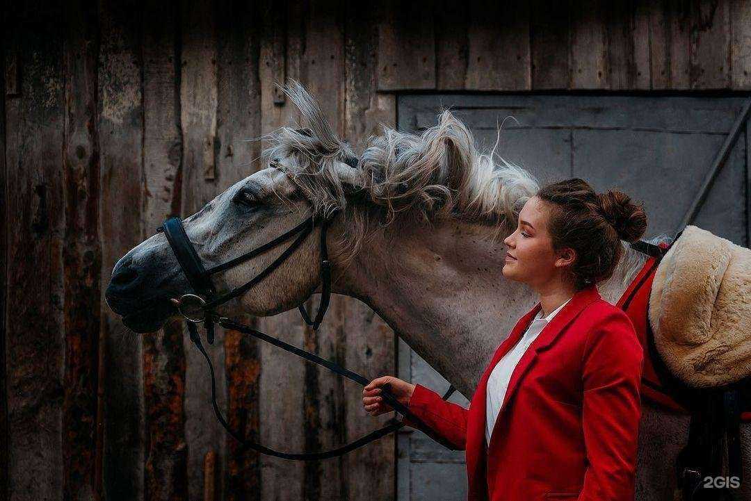 Отзывы на компанию Зебра в г. Чебоксары c фото