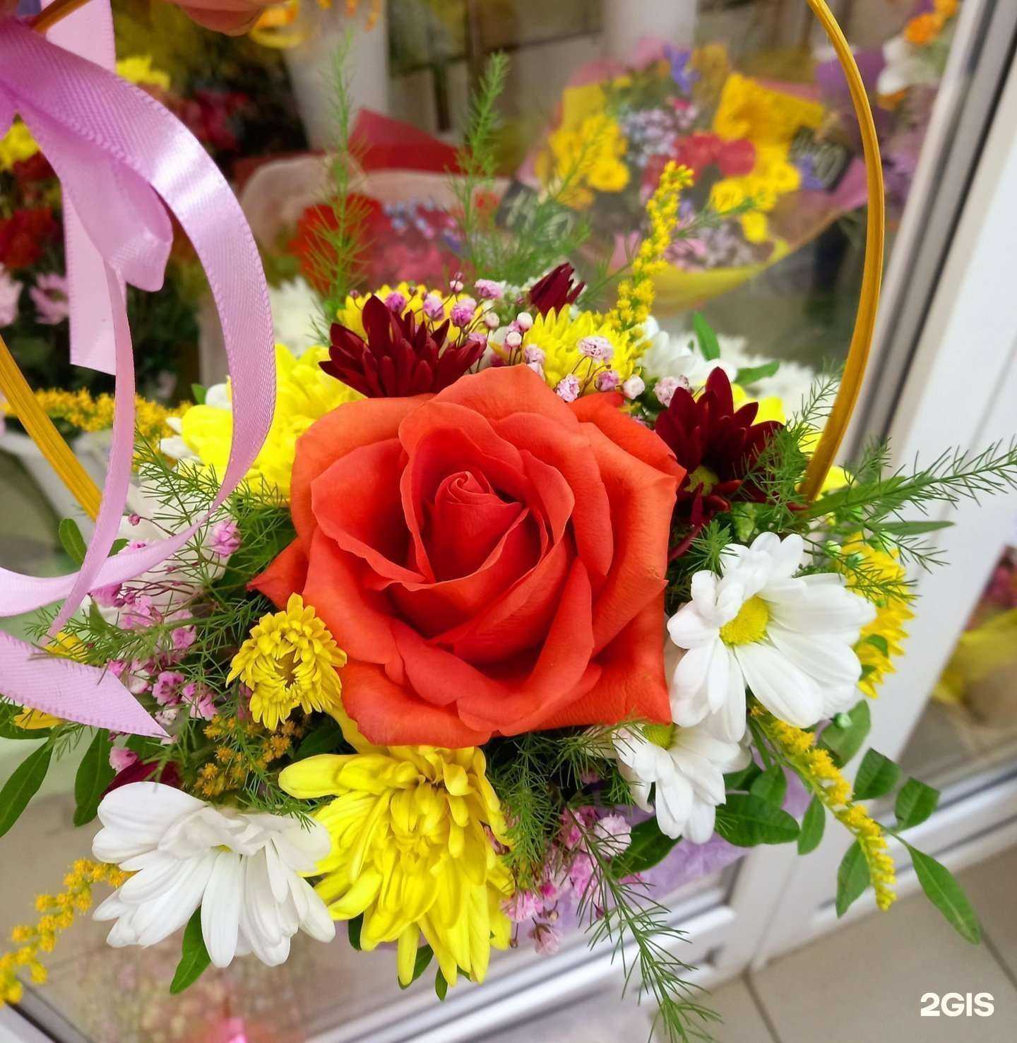 Отзывы на компанию Роза-мимоза29 в Северодвинске c фото