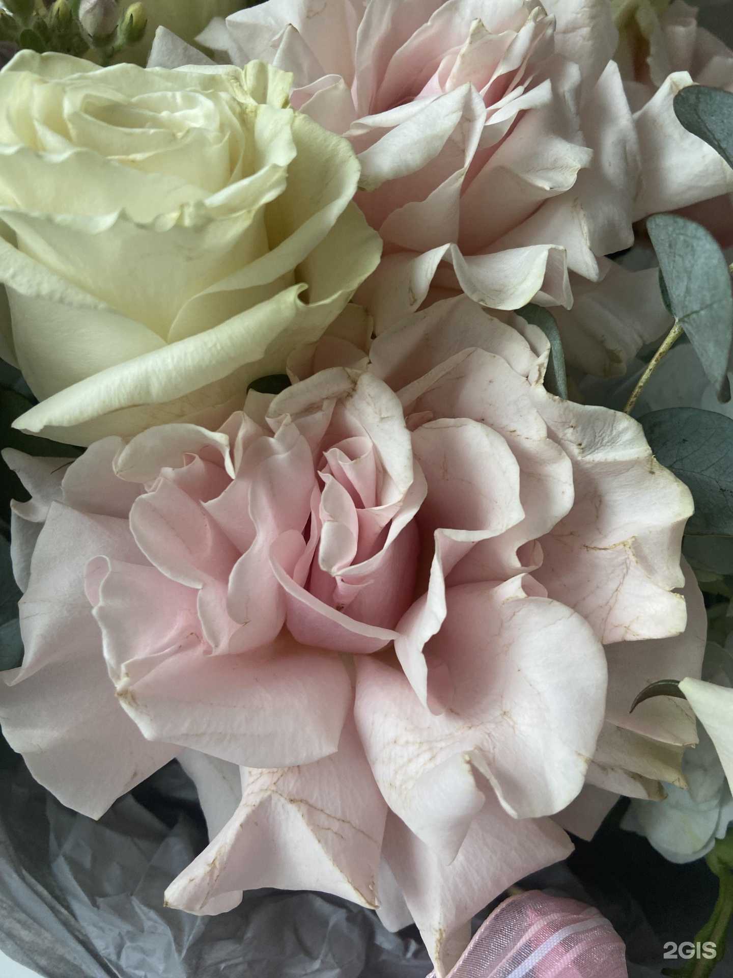 Отзывы на компанию Amoreflowers в г. Альметьевск c фото