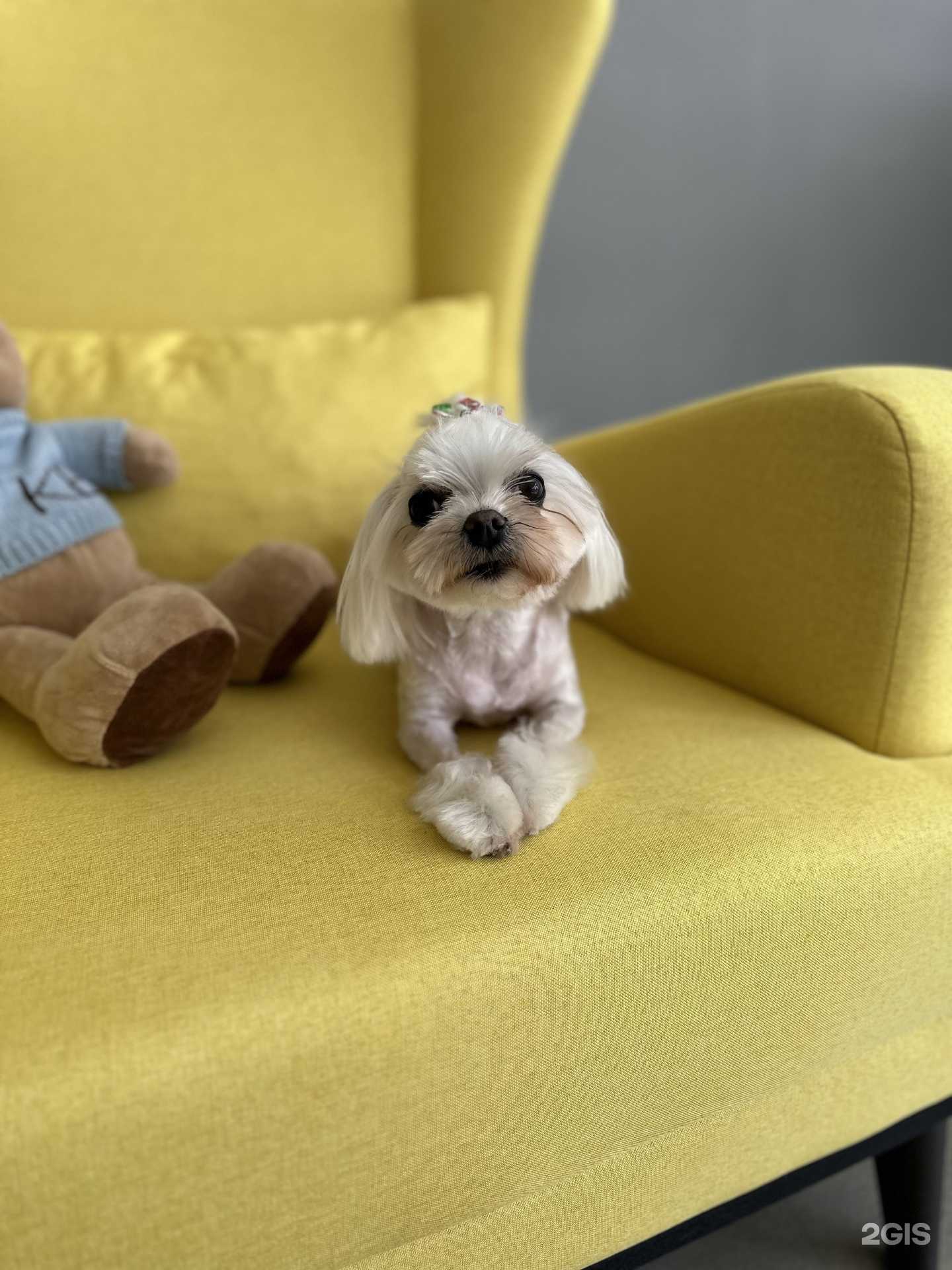 Отзывы на компанию БудкаЗоо в Курганинске c фото