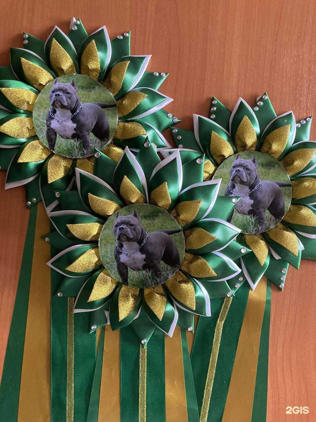 Отзывы на компанию Югория в г. Сургут c фото