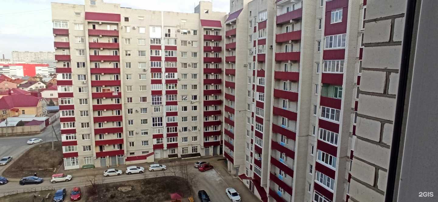 Отзывы на компанию Два Доктора в Ставрополе c фото - фотография 2 из 2