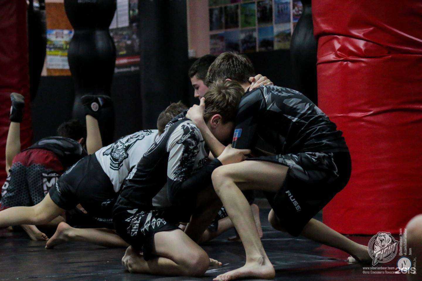 Отзывы на компанию Сибирский Медведь в г. Иркутск c фото