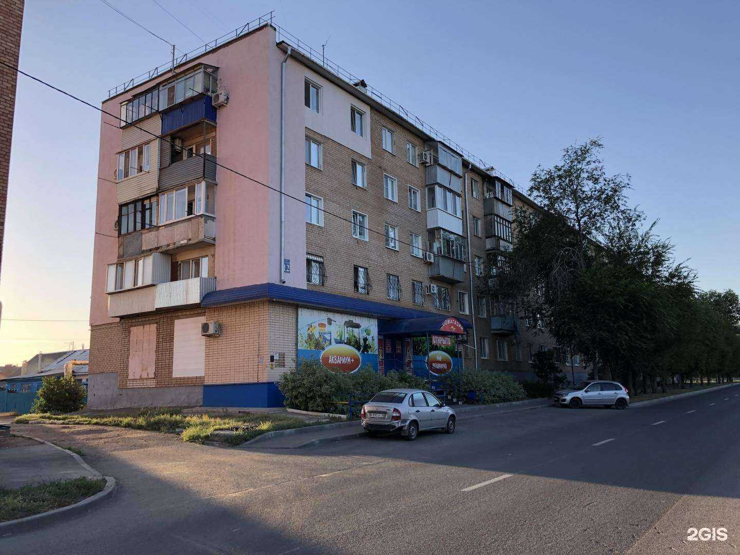 Отзывы на компанию Аквариум плюс в Оренбурге c фото - фотография 2 из 2