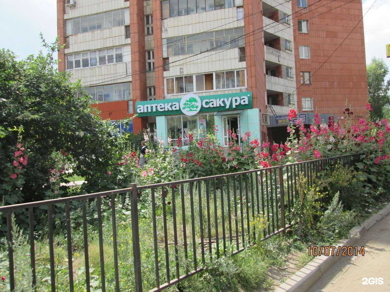 Отзывы на компанию Сакура в Казани c фото