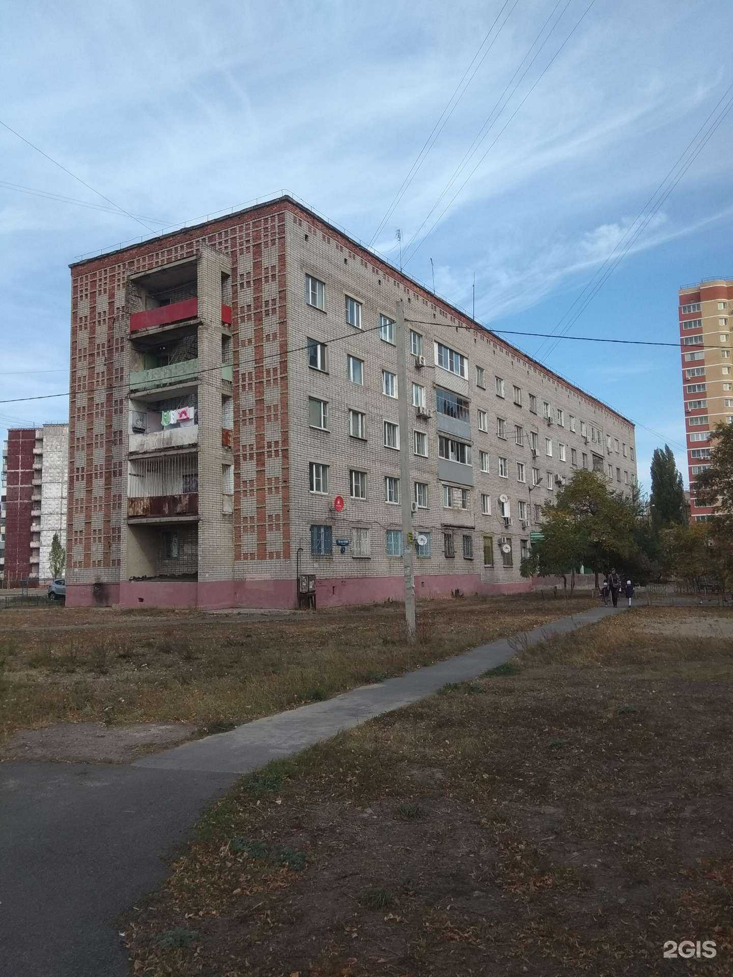 Отзывы на компанию Еда для Дружка  в Липецке c фото - фотография 2 из 2