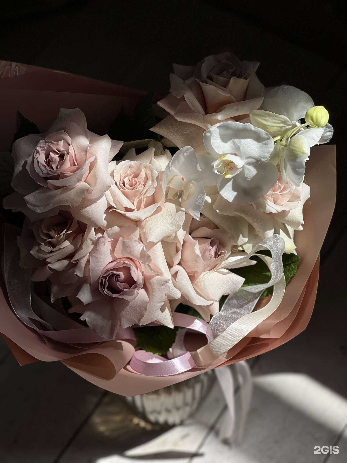 Отзывы на компанию Therozh в Иванове c фото