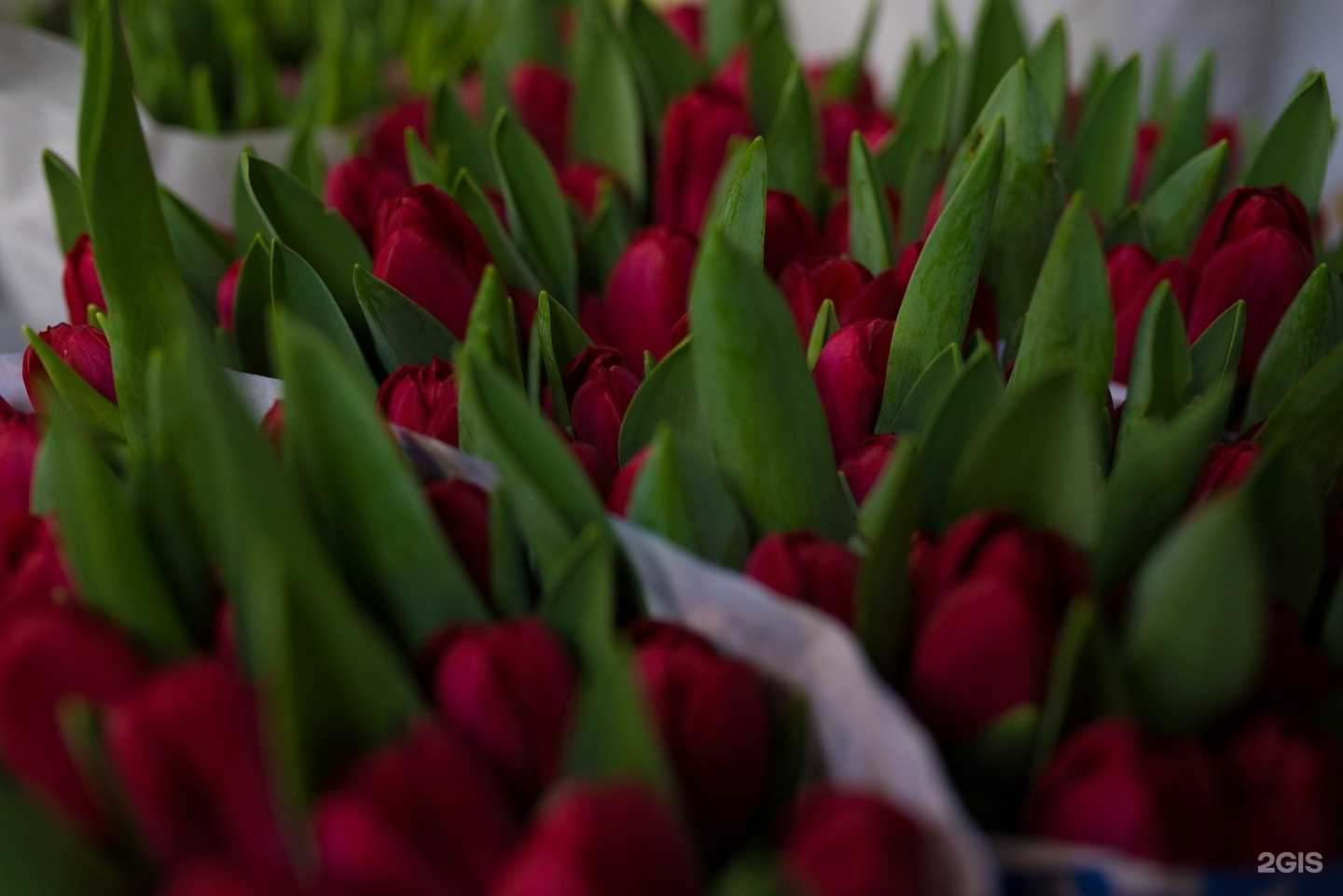 Отзывы на компанию Соцветие в г. Барнаул c фото