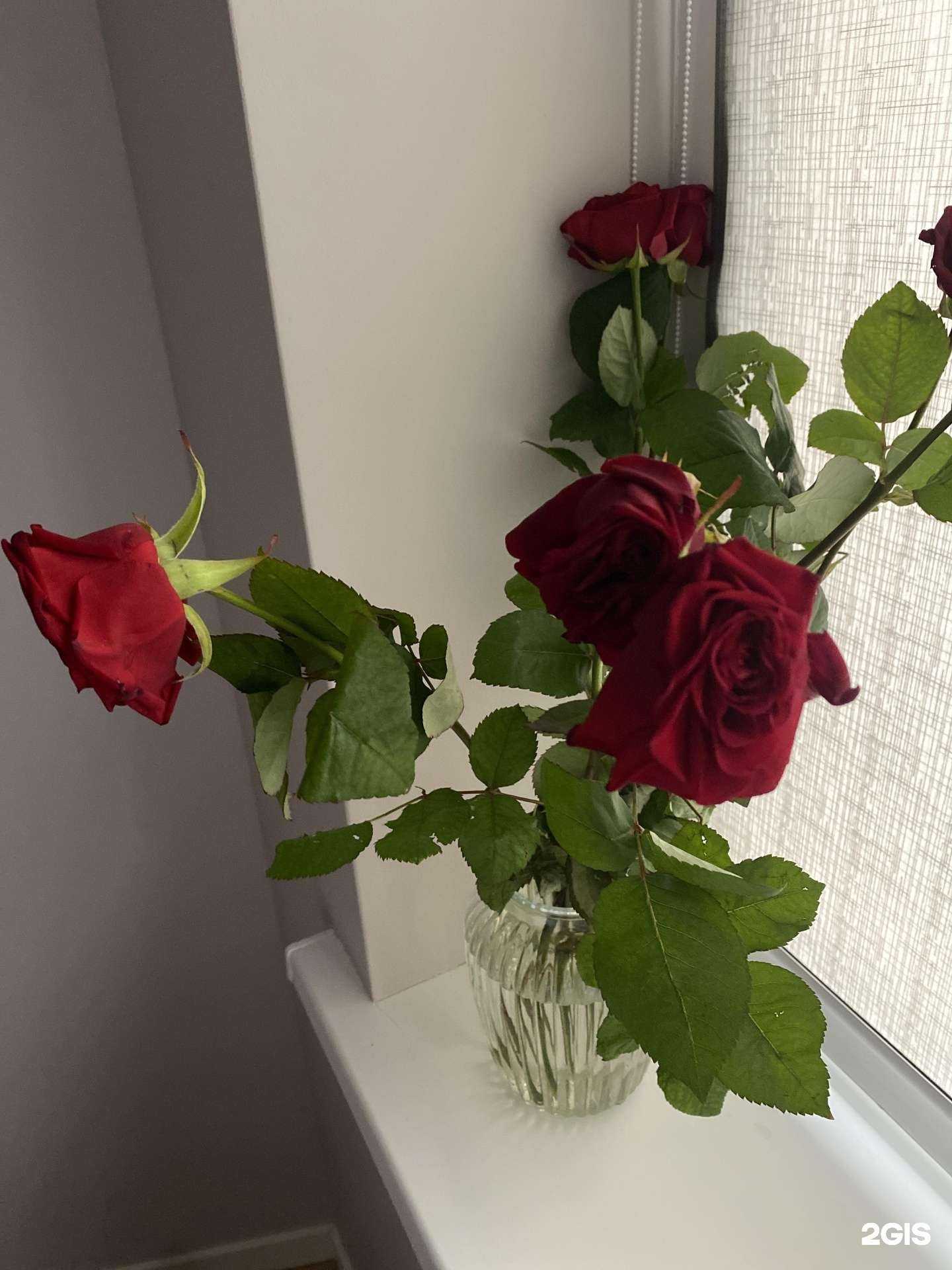 Отзывы на компанию Магазин цветов в Сочи c фото