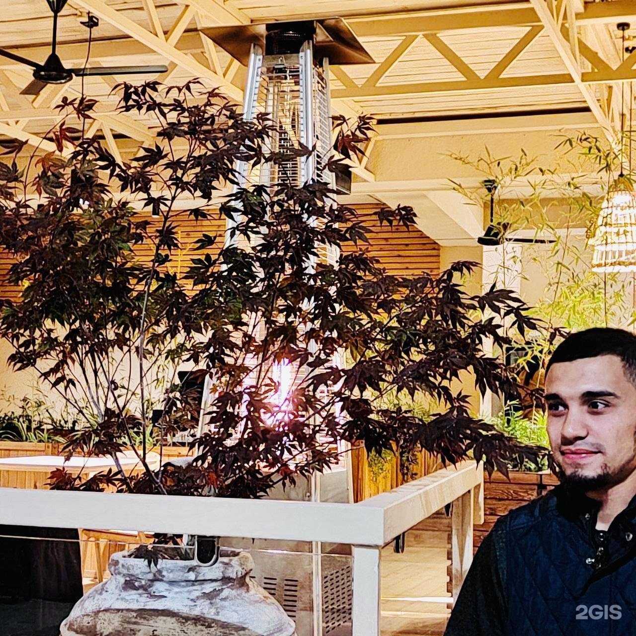 Отзывы на компанию Мишутка в Анапе c фото