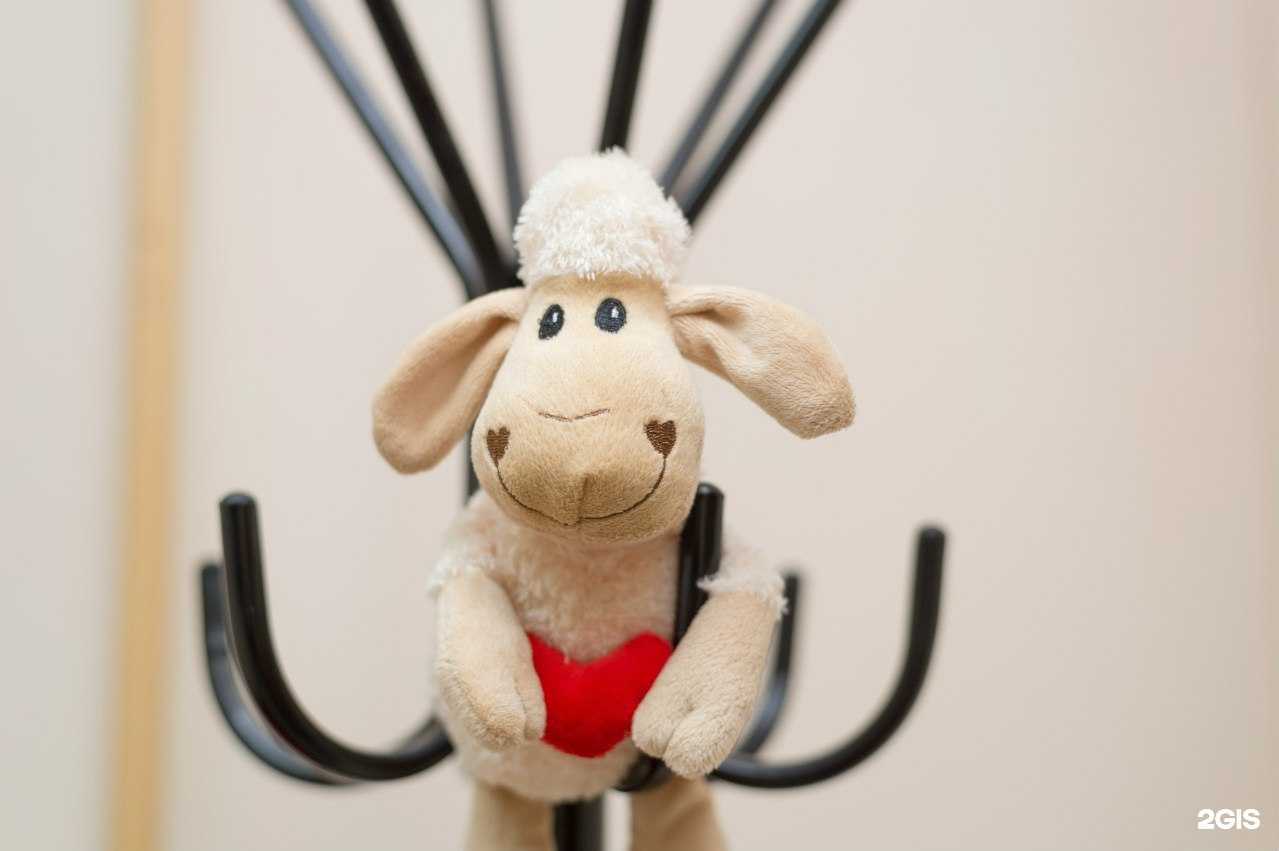 Отзывы на компанию Стокли в Вологде c фото