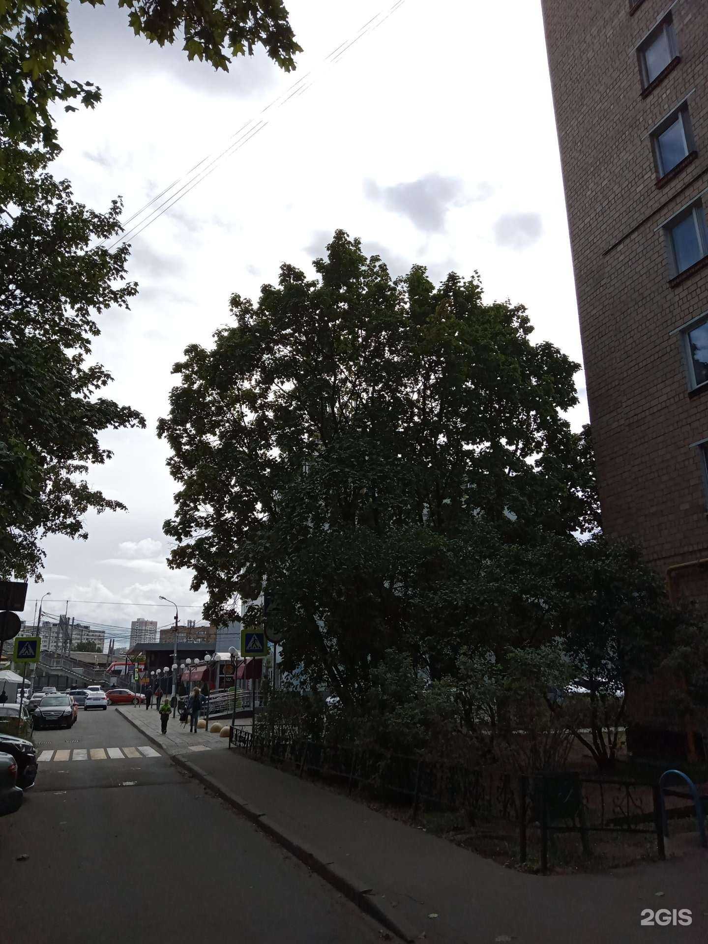 Отзывы на компанию Транспортная компания в Одинцове c фото