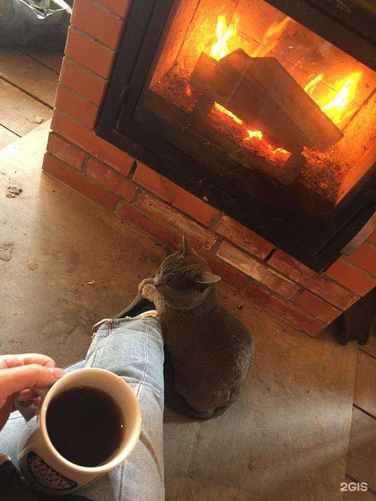 Отзывы на компанию Bear сafe в Новосибирске c фото