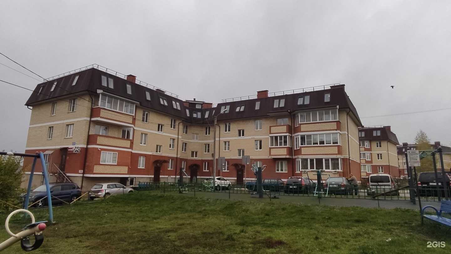 Отзывы на компанию Мягкие лапки в Клине c фото