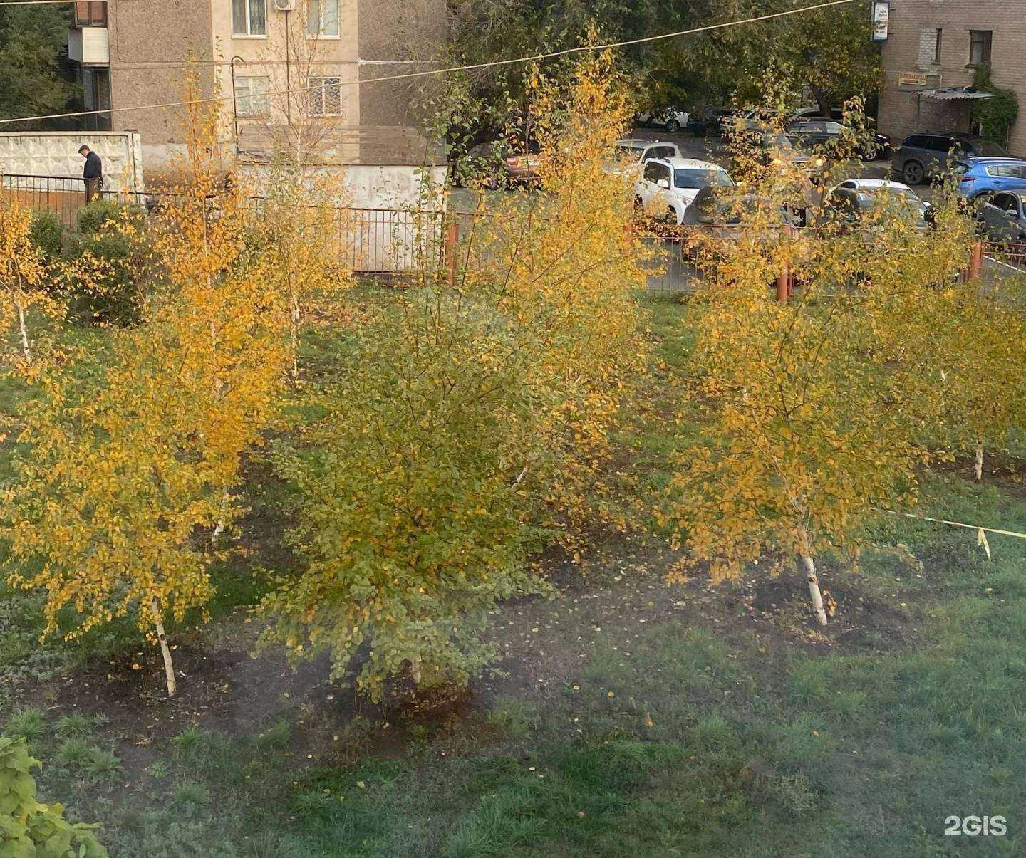 Отзывы на компанию Рекорд в г. Орск c фото