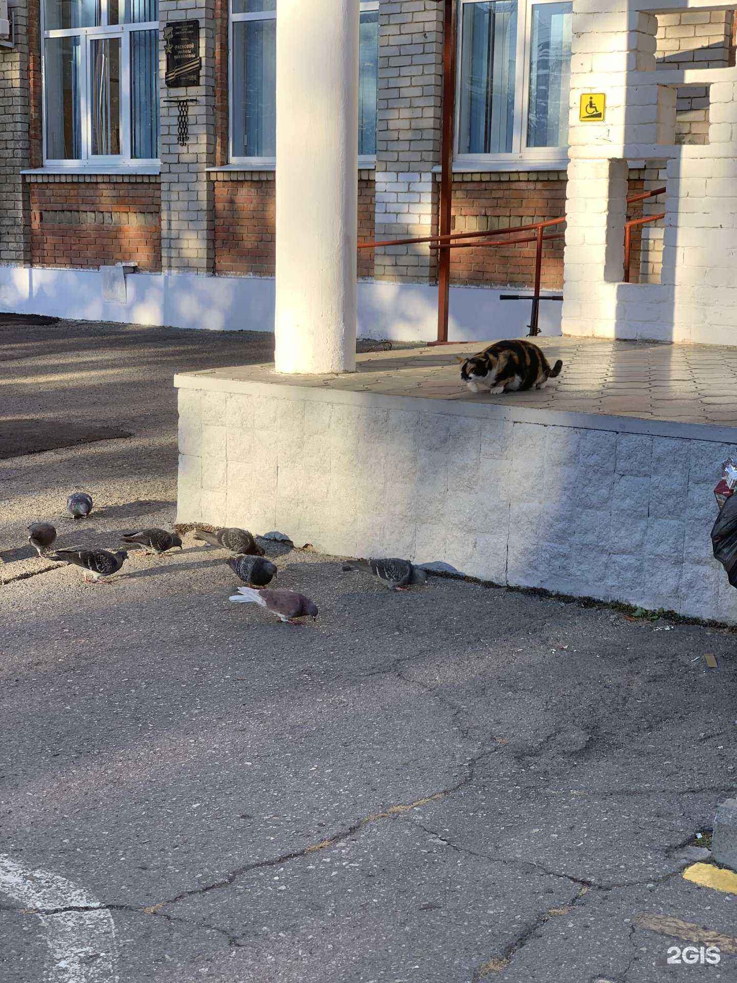 Отзывы на компанию Средняя школа №19 в Краснодаре c фото