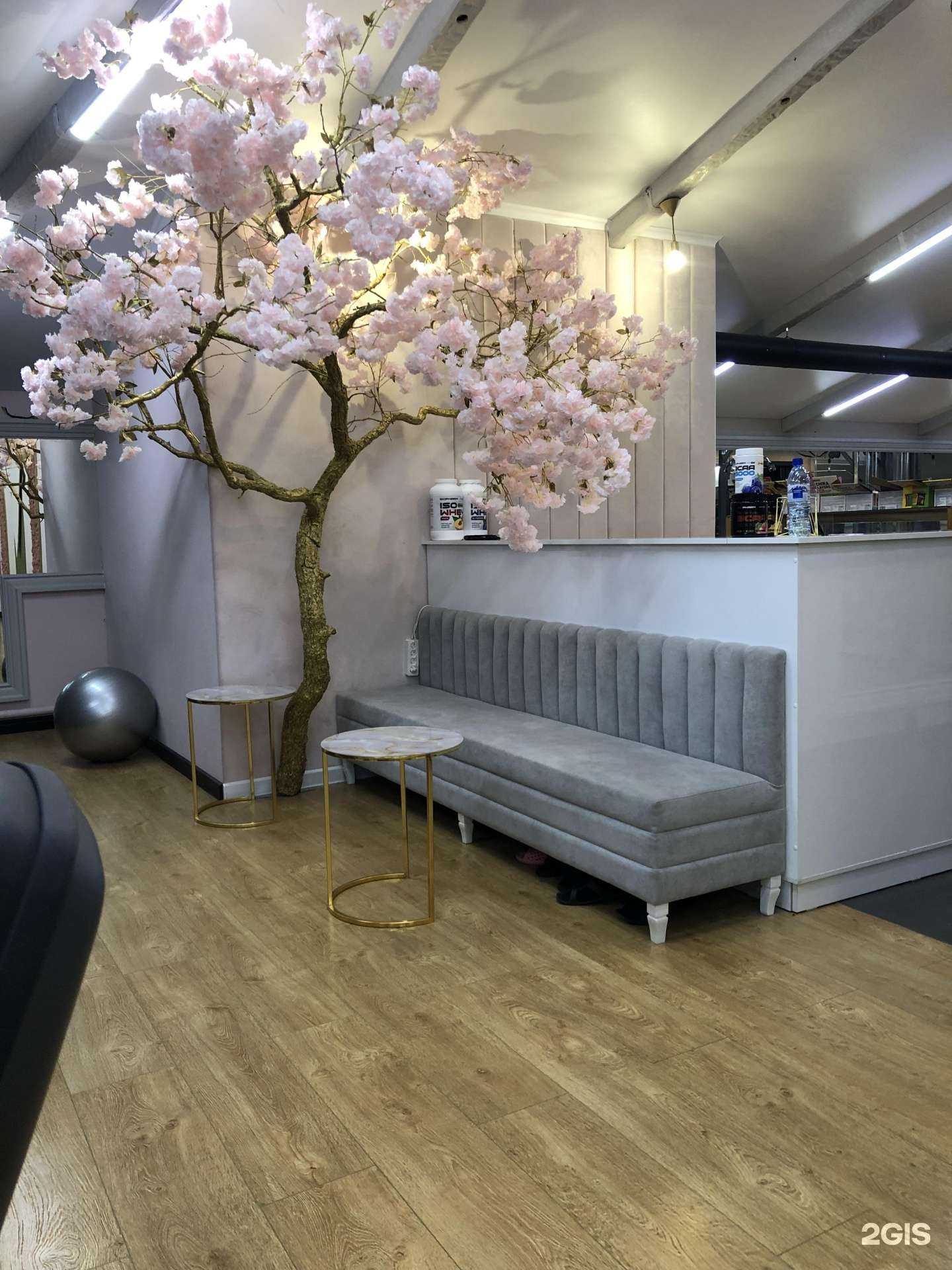 Отзывы на компанию Физика в Махачкале c фото