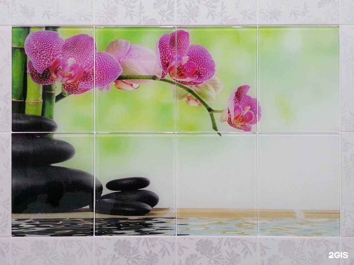 Отзывы на компанию Альбатрос в г. Самара c фото