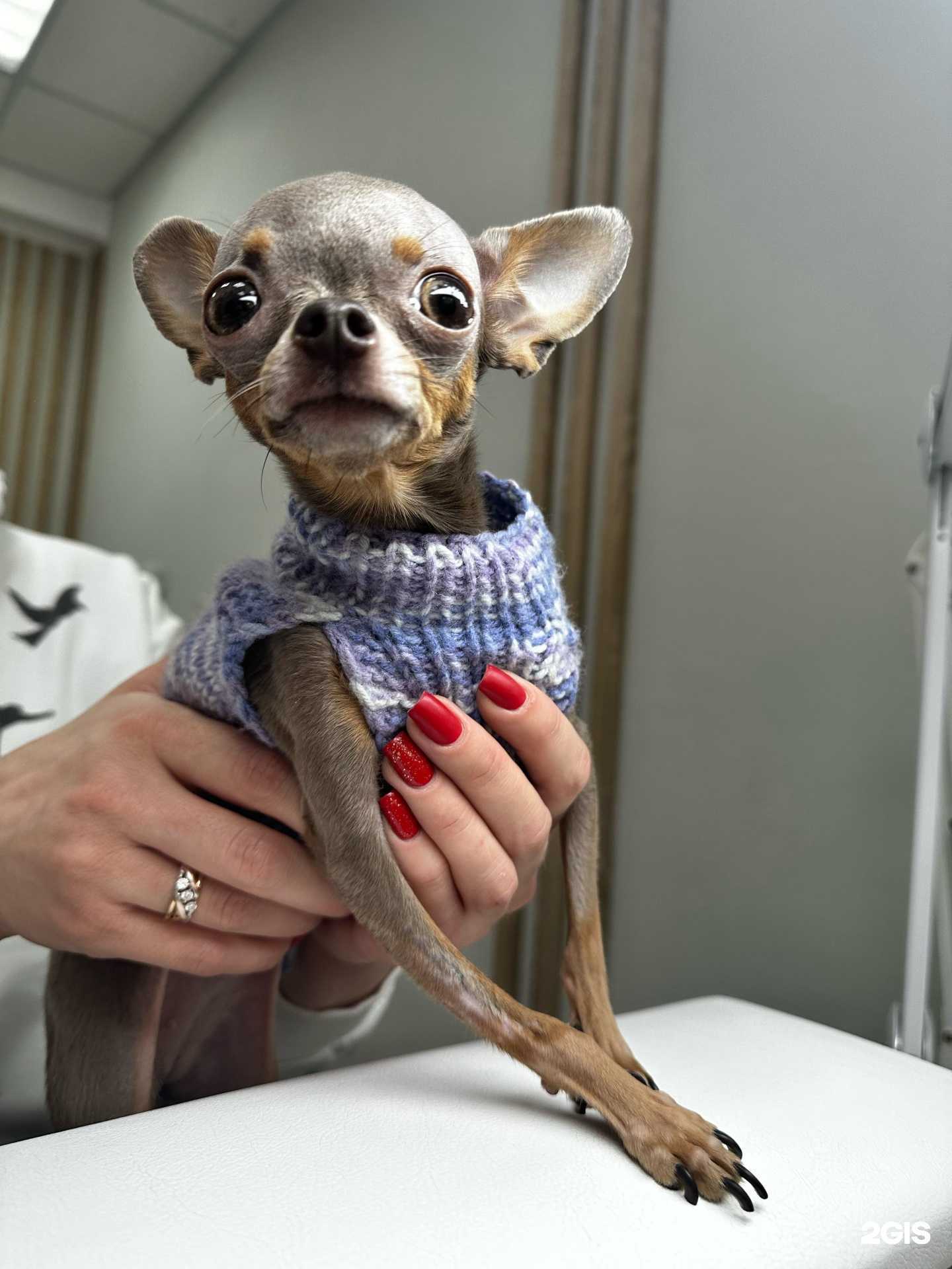 Отзывы на компанию Natakamchatka в г. Петропавловск-Камчатский c фото