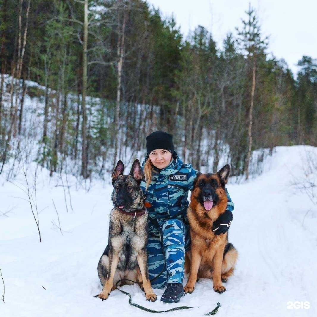 Отзывы на компанию Управление МВД РФ по Мурманской области в Мурманске c фото