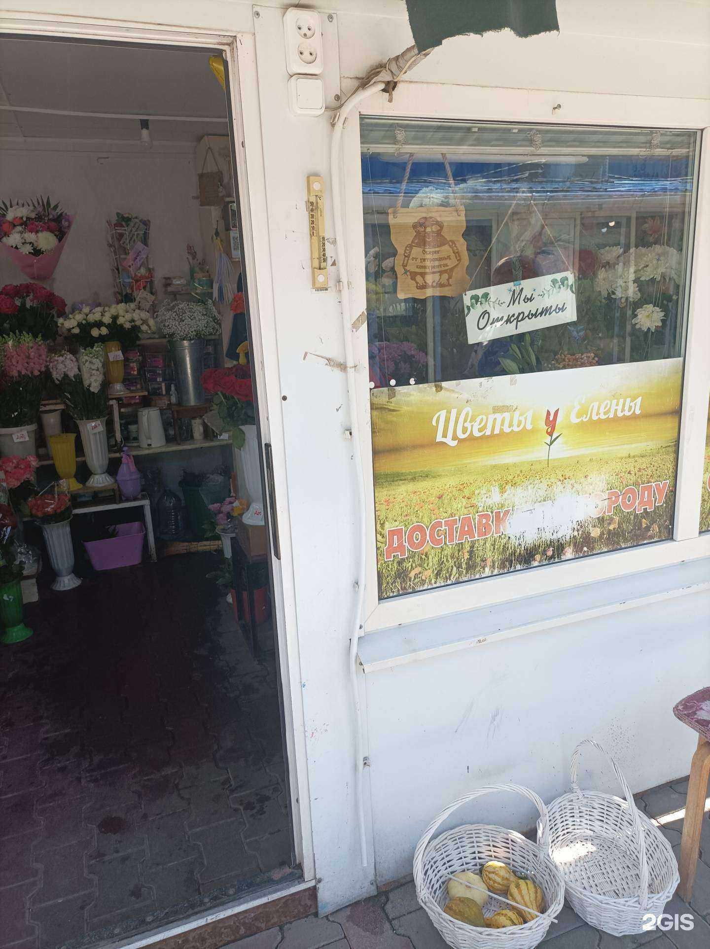 Отзывы на компанию Цветы у Елены в г. Волгодонск c фото