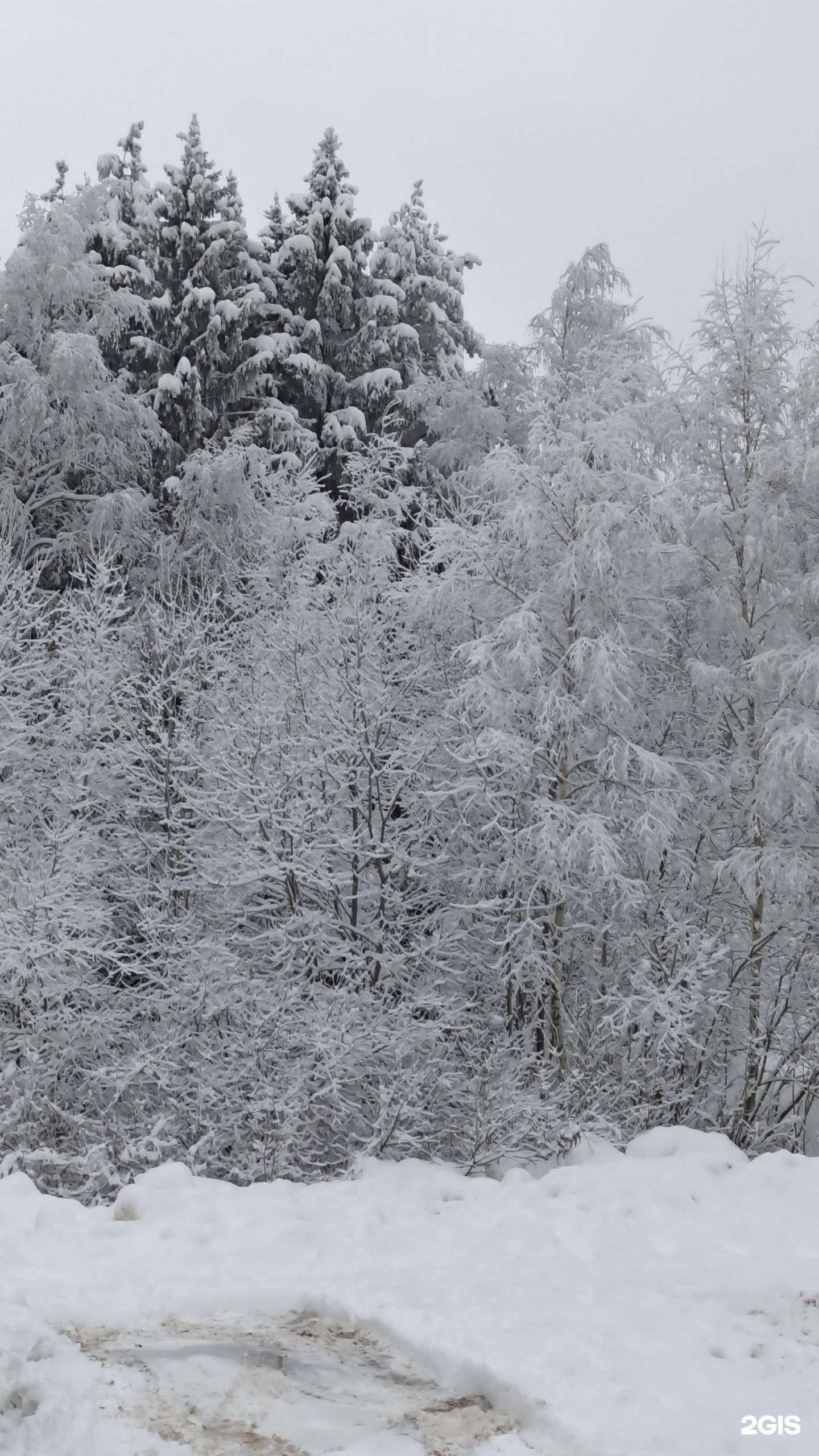 Отзывы на компанию Leto studio в Лобне c фото - фотография 2 из 2