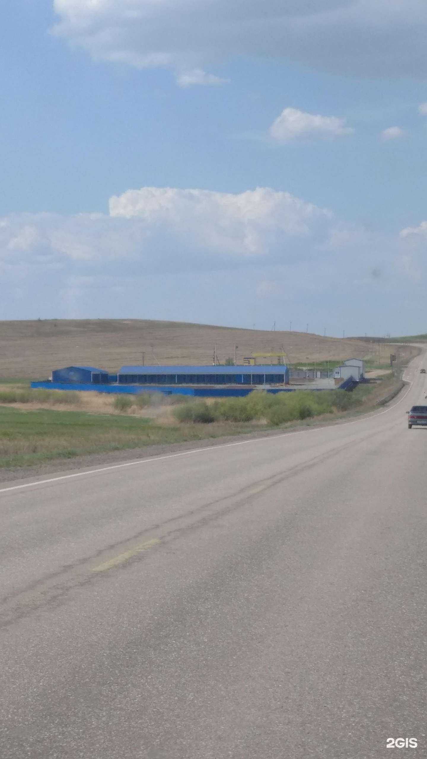 Отзывы на компанию Государственный приют для животных без владельцев в Магнитогорске c фото - фотография 2 из 2