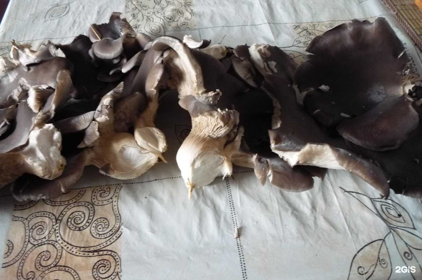 Отзывы на компанию Воронеж в г. Воронеж c фото