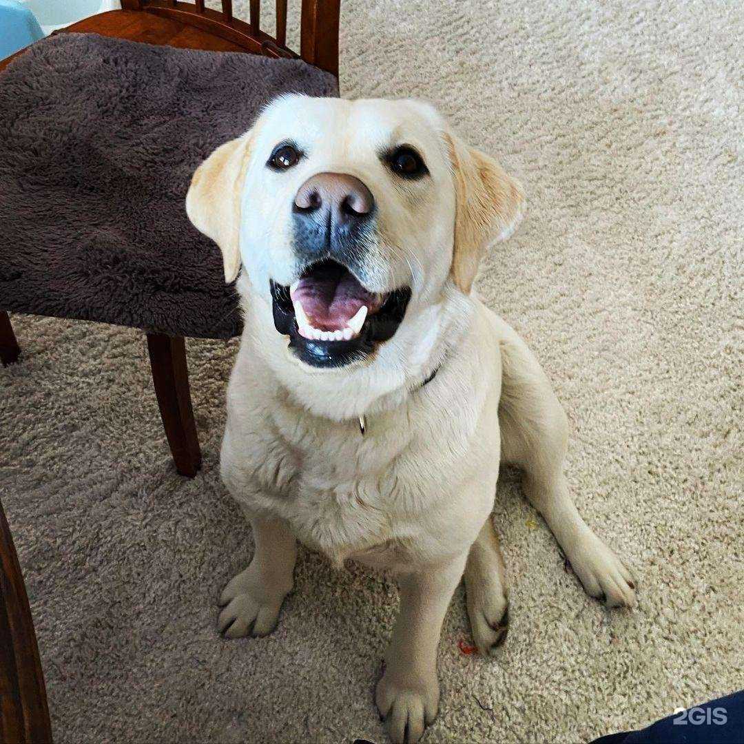 Отзывы на компанию Суши дяди Вани в Липецке c фото