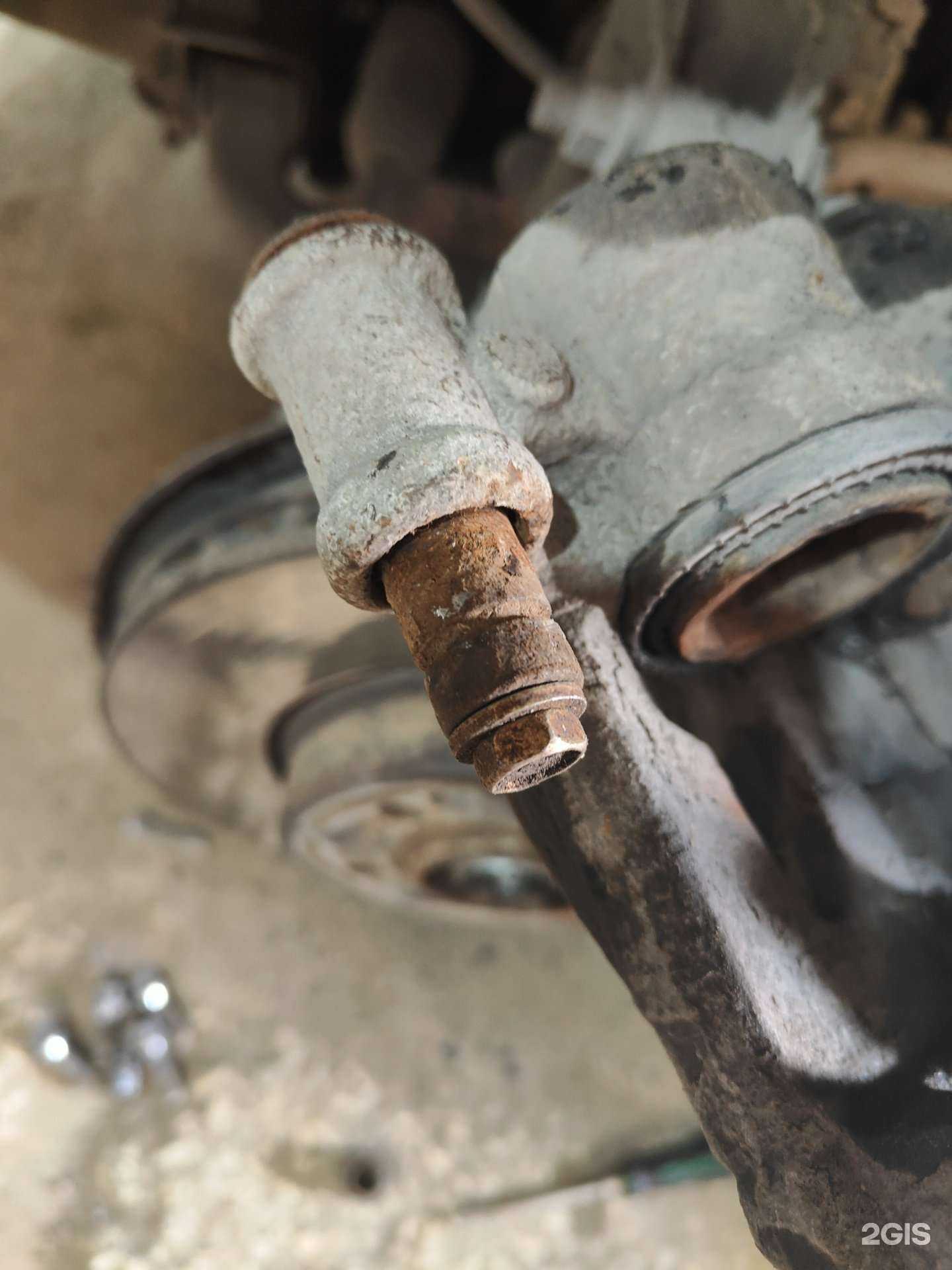 Отзывы на компанию M5 в г. Томск c фото