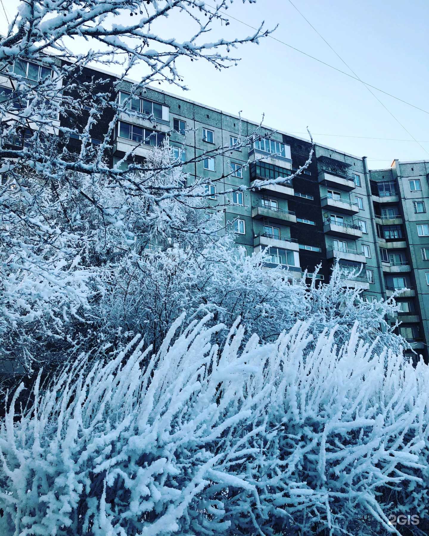 Отзывы на компанию Деа Эстро в Красноярске c фото - фотография 2 из 2