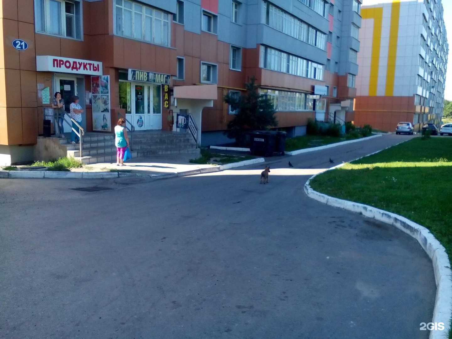 Отзывы на компанию Живая вода в Саранске c фото - фотография 2 из 2