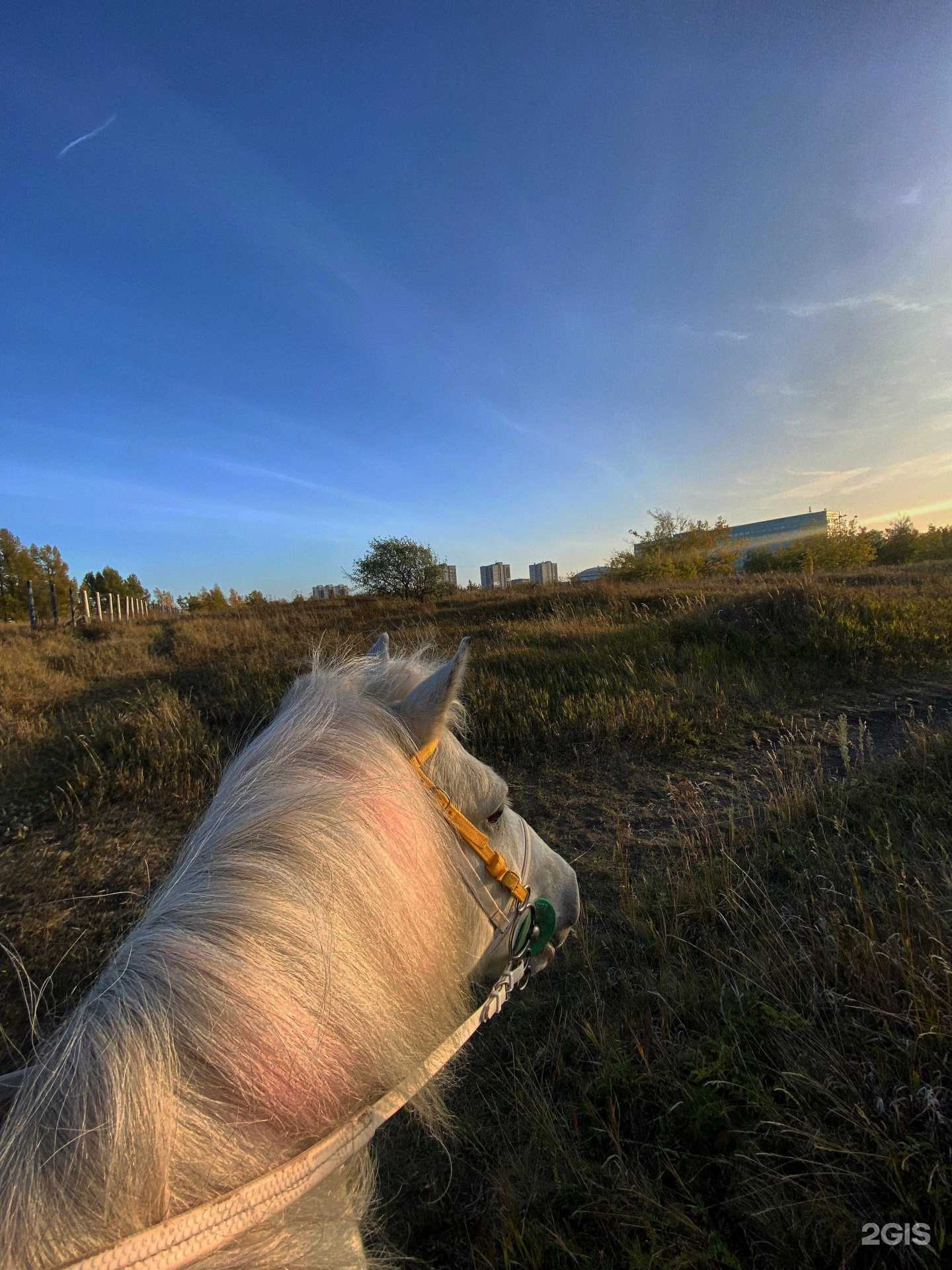 Отзывы на компанию Колибри в г. Ульяновск c фото