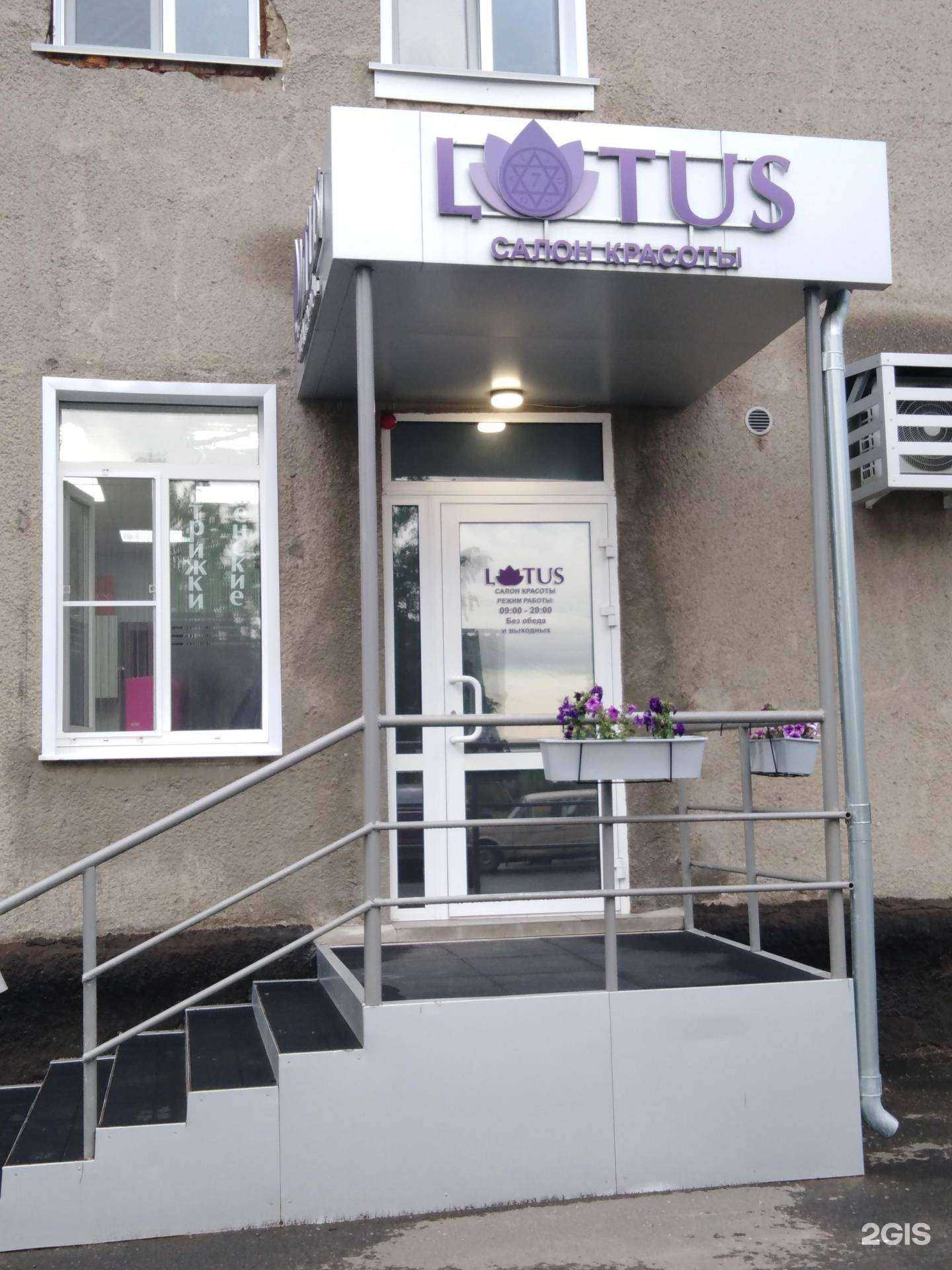 Отзывы на компанию Lotus в Кемерове c фото