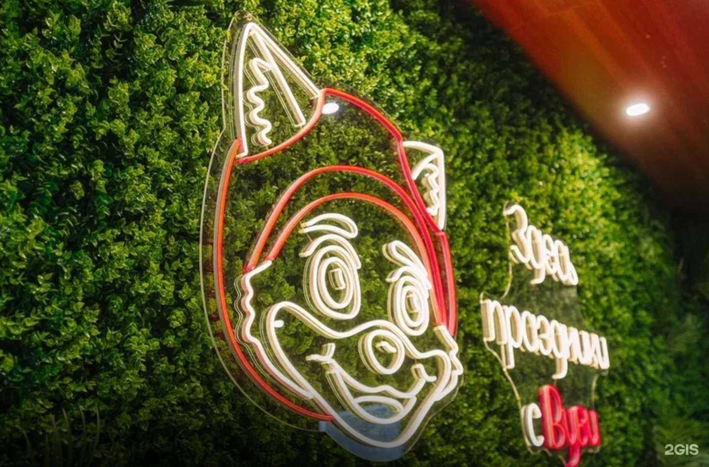 Отзывы на компанию Вуви в г. Рязань c фото