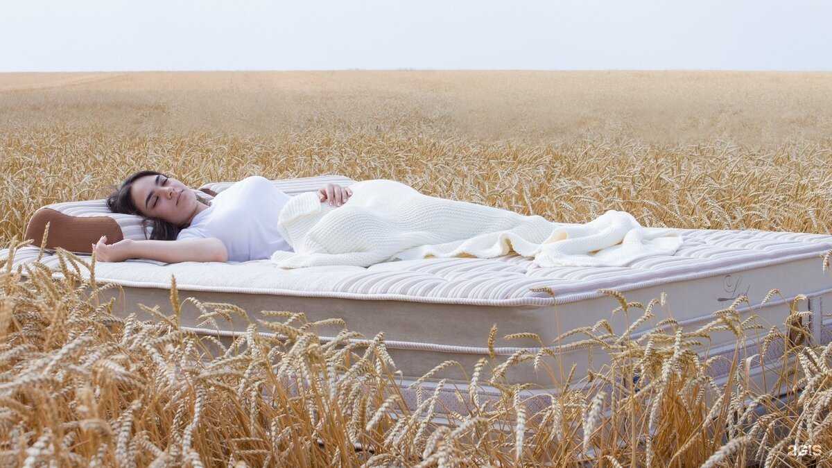 Отзывы на компанию Сарма в Красноярске c фото