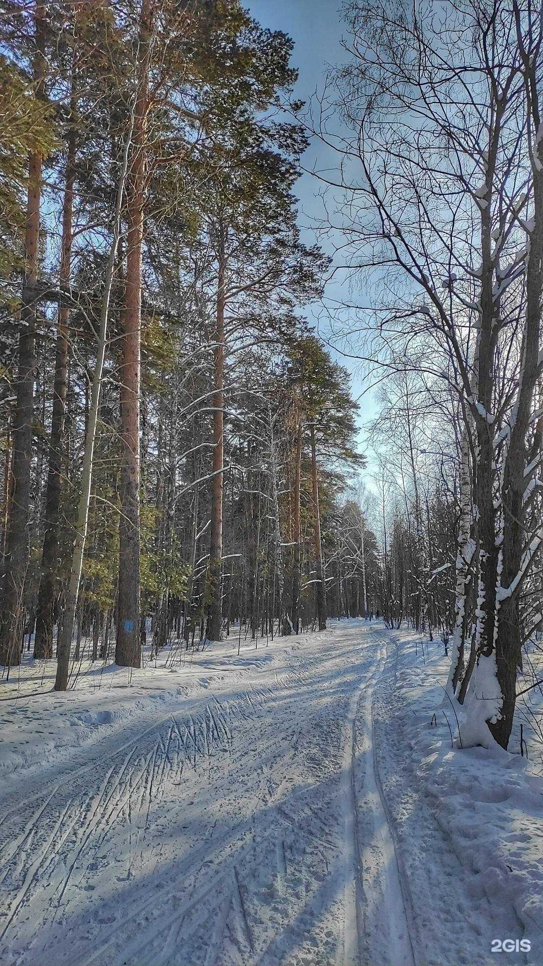 Отзывы на компанию Лыжная база в г. Екатеринбург c фото