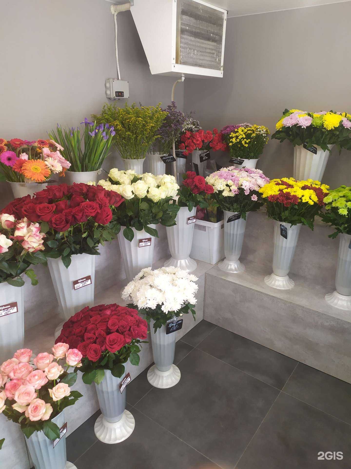 Отзывы на компанию Самцветок №1 в Самаре c фото