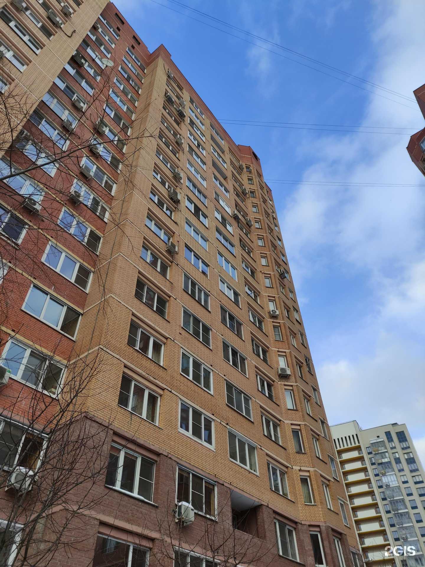 Отзывы на компанию Жук в Красногорске c фото - фотография 2 из 2