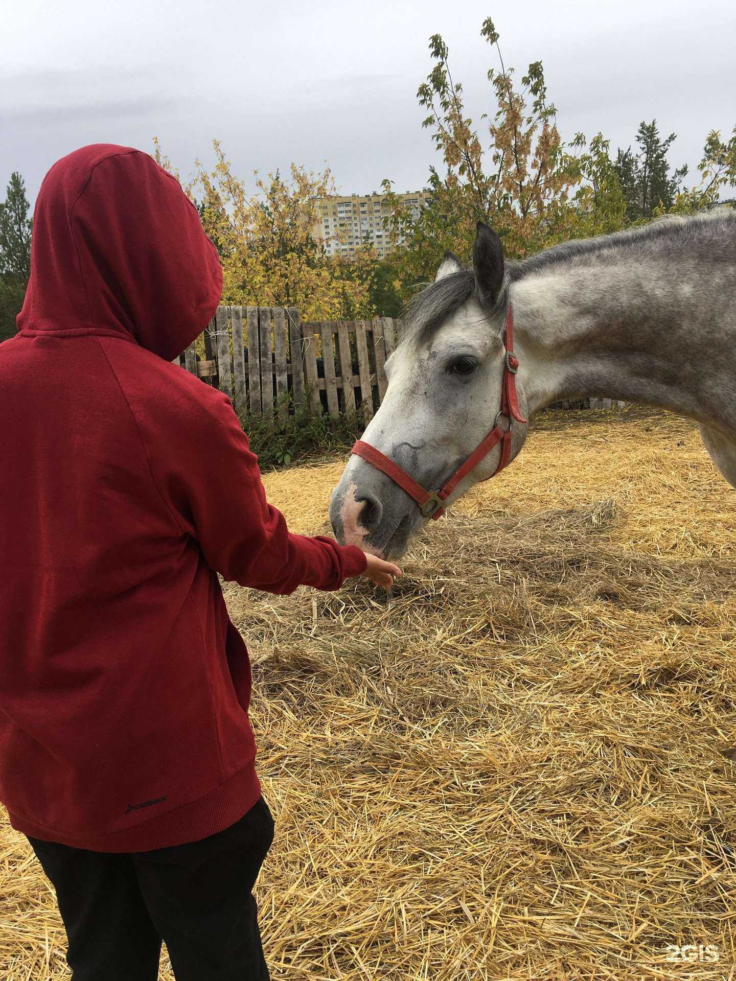 Отзывы на компанию Старый Каменск в г. Каменск-Уральский c фото
