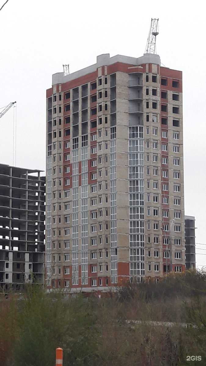 Отзывы на компанию Cactus в Липецке c фото - фотография 2 из 2